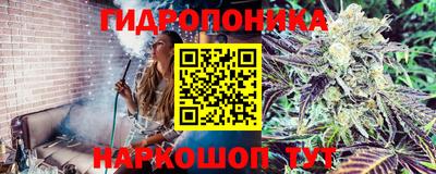 ALPHA-PVP Гусев