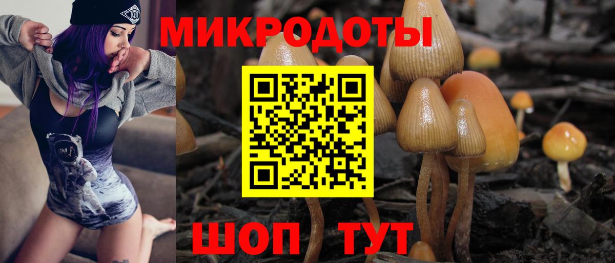 Менделеевск  Псилоцибиновые грибы MAGIC MUSHROOMS  Галлюциногенные грибы мухоморы  Вход с VPN 